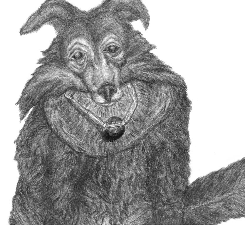 Pencil/traditional media dog sketch